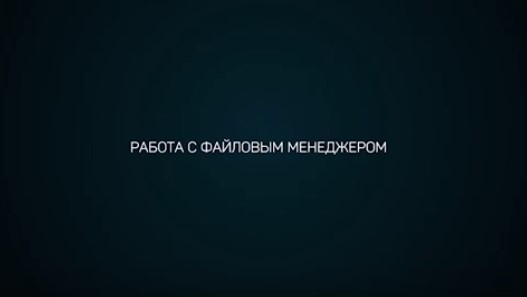 Stream Vision iOS Работа с Файловым Менеджером
